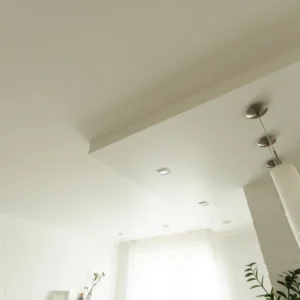 HD-MR Gypsum Plaster application in a residential project in Sringeri