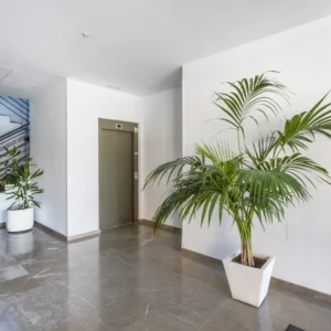 High-quality HD-MR Gypsum Plaster used in commercial building in Koppa